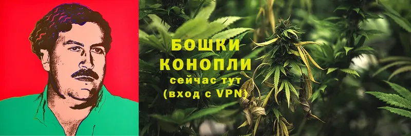 продажа наркотиков  Усолье-Сибирское  Конопля THC 21% 